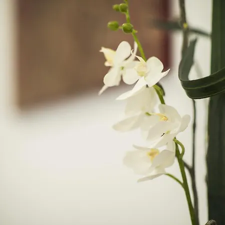 Guest house Suite Deal Rome